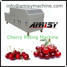 Automatic Cherry Pitting Machine