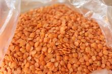  SPLIT   RED   LENTILS 