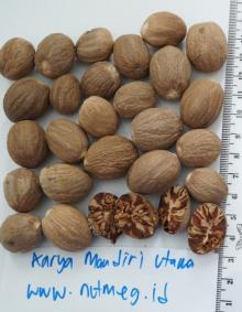 Whole Nutmeg  ABCD  aflatoxin-free guarantee