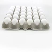 Fresh  White   Chicken   Eggs 