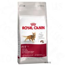 Royal Canin Fit 32, 10kg