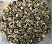 dried morel mushroom