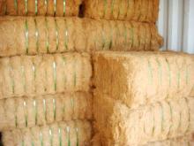 Coconut fiber