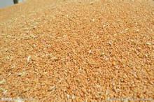 Ukraine wheat for animal feed at good price