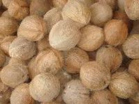 Grade A Fresh fruit-fresh coconuts