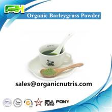 New Certified Organic Rice Protein Powder