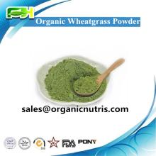 New Certified Organic Wheat Grass Powder