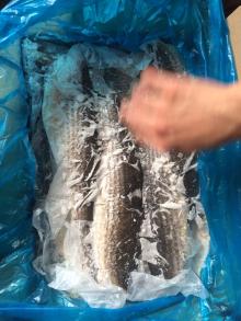 mullet fillet