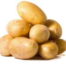 Grade A Potato from Shandong