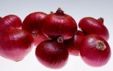 Fresh Red Onion 2016'