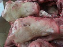 frozen pork meat