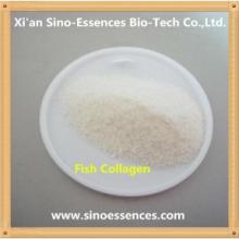 Fish Collagen Hydrolysate  protein  consentrate, hydrolyzed   gelatin  , Consentrate colla