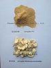 manufacturer supply Astragalus Extract Polysaccharide 50% UV high quality