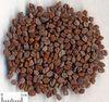Fenugreek Seed Extract 4-Hydroxyisoleucine Exporter