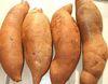 manufacturer supply high quanlity Yacon extract Garcinia Cambogia Extract Cassia Seed Extract