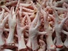 !!! Halal Grade A Frozen Chicken Feet, Paws, Breast,