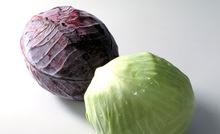 Onions Garlic ginger tamarind lettuce red cabbage pickles cabbage pickle