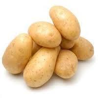 Fresh holland potatoes