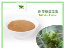  Tribulus   extract 