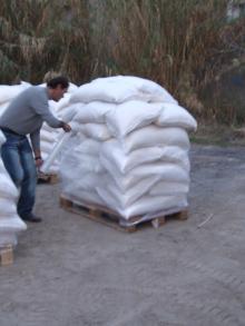wheat flour Best and Quality Grade