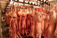 frozen pork meat Quality A