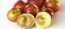 100% natural camu camu extract with 20% vitamin c powder