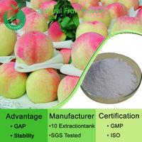 Fruit  Juice  Powder/Fruit Powder/Organic Freeze Dried Fruits Powder