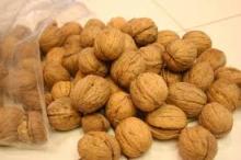 WALNUT kernel for sale