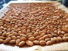 Almond nuts
