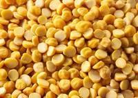 New stock  Yellow   Split   Peas  ready for export