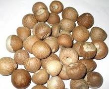 Raw  whole   betel   nut s.