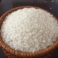 new stock Long Grain White Rice 5% - 10% - 15% - 25% - 100% Broken for sale