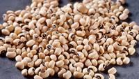 new stock Black Eyed Beans for sale