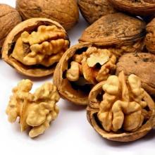 New crop of Walnut