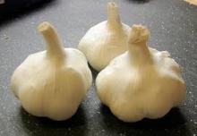 Fresh Pure White Garlic