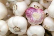 IQF Garlic Clove