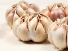 New Crop Fresh Pure White Garlic for Exporting