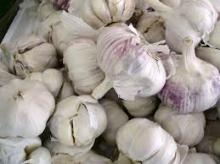 2015 high quality fresh peeled garlic cloves