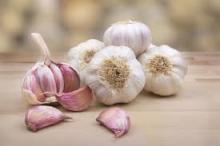 SOLO GARLIC OR SINGLE CLOVED GARLIC