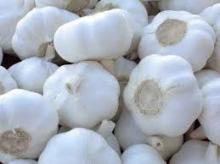  Whole   Garlic 