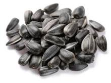 Sunflower seeds