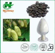 Herbway Griffonia Seed  5 - HTP 