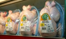 Frozen Processed  Chicken  Feet ( Grade A)