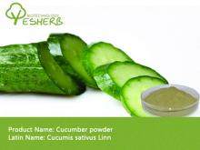 Free Sample Cucumber Powder Extract 5:1
