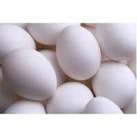 fresh and hatching eggs, raging from chicken egg, ostrich egg, toucan eggs,turkey egg, parrot egg(ma