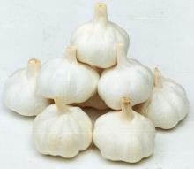 Good quality pure white garlic