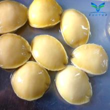 Canned  Abalone 