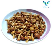  Can ned  Nameko   Mushroom 