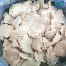  Can ned  Oyster   Mushroom 