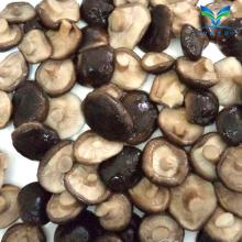  Canned   Shiitake   Mushroom 